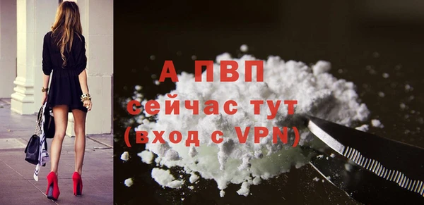 spice Инта