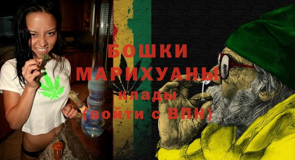 спиды Инсар