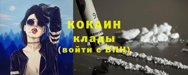 spice Инта