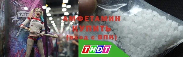 spice Инта