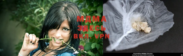 spice Инта