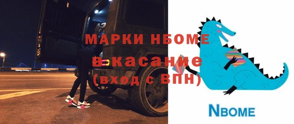 спиды Инсар