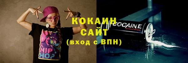 спиды Инсар