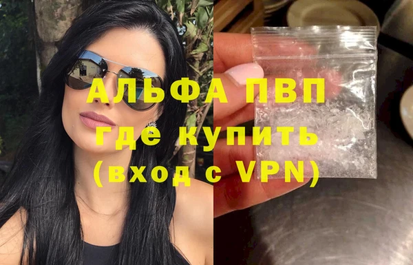 спиды Инсар