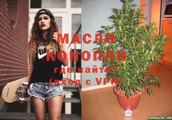 spice Инта