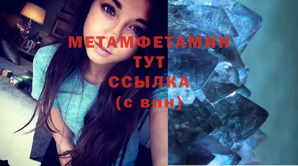 spice Инта