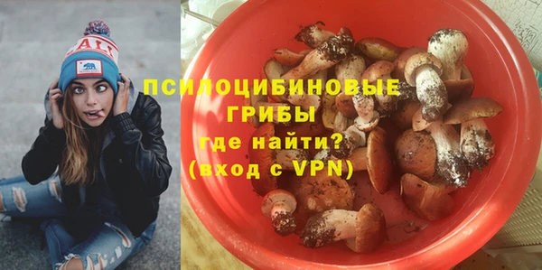 спиды Инсар
