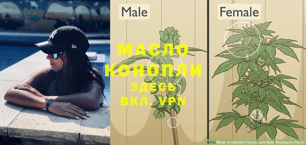 spice Инта