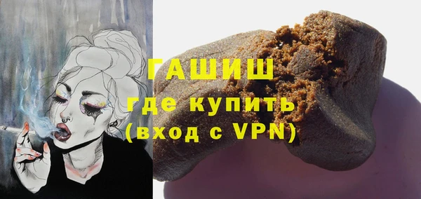 spice Инта