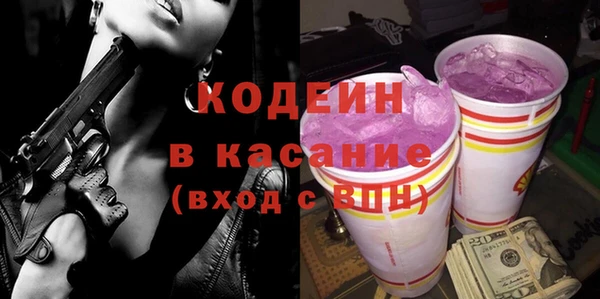 spice Инта