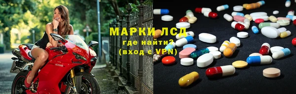 spice Инта